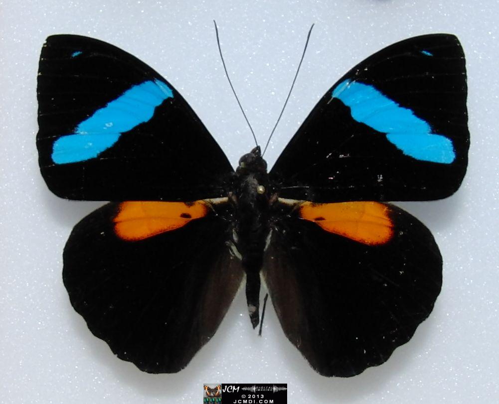 Unidentified 02-20-2010 